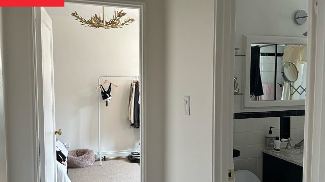 Transforming Small Spaces: The Power of Bold Colors in Home Design