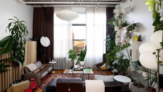 The Rise of Affordable DIY Hom