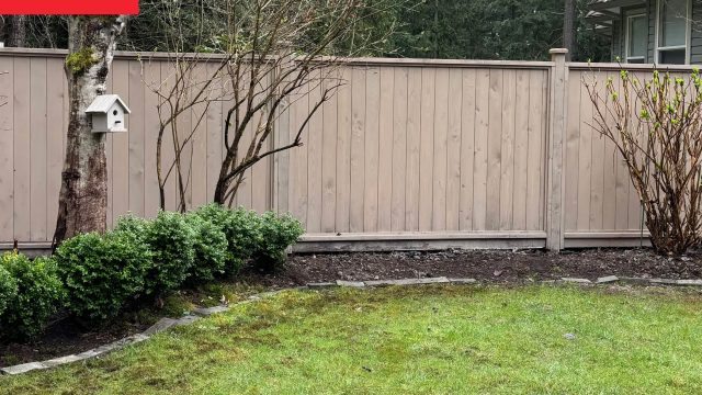 Transforming Outdoor Spaces: Create Your Dream Garden