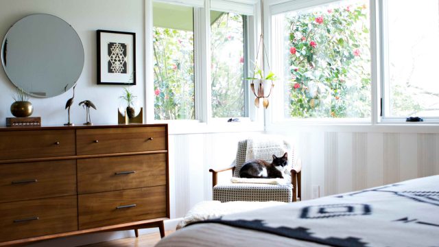 Transforming Pet Care: Why Automatic Litter Boxes Are a Game Changer