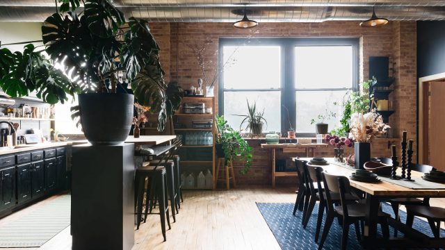 Transform Your Space: Using Planters as Stylish Room Dividers