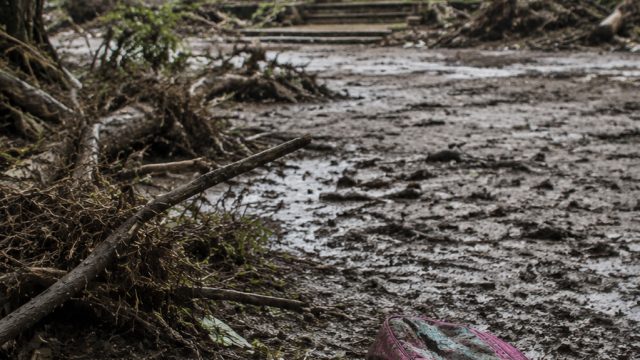 Camp Mystic Seeks Bankruptcy Protection Following Tragic Flood Incident | bolaa88, vivo y21 128gb