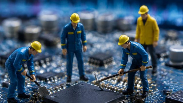 Chip Market Turmoil: Insights Ahead of Micron's Earnings Report | bagaimana cara pohon bamboo berada