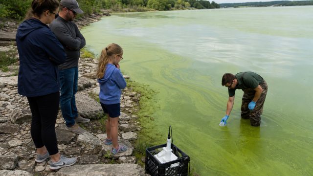 The Algae Crisis: Addressing Water Quality Issues Now | data taiwan 6d 2022, respin slot, 1986 world
